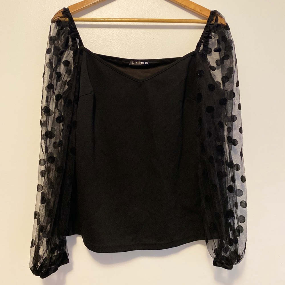 sheer sleeved blouse
